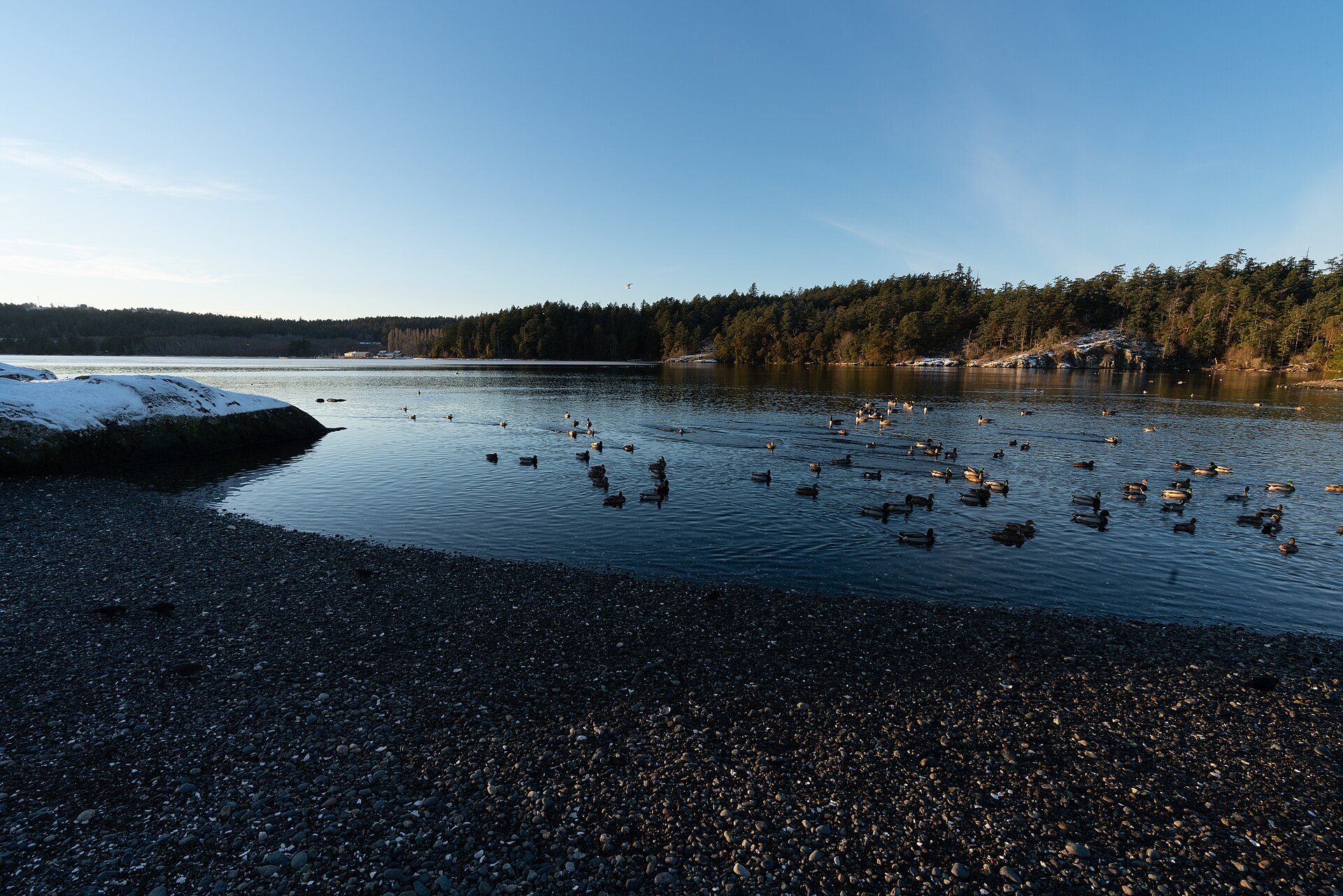 Landscape photograph of Esquimalt Lagoon (North Eastern section, looking South West).